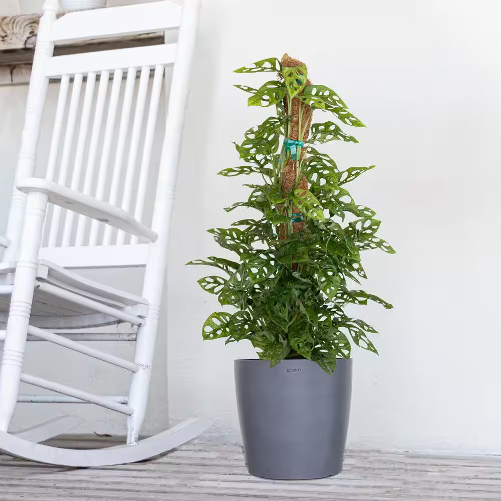 Miami 10 In. Pure White Premium Sustainable Plastic Planter with Saucer